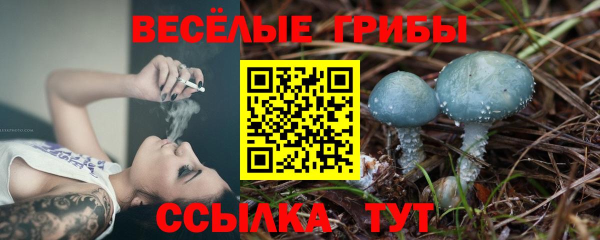 Псилоцибиновые грибы MAGIC MUSHROOMS  Вход с VPN  Сочи  как найти наркотики  Псилоцибиновые грибы Psilocybine cubensis 