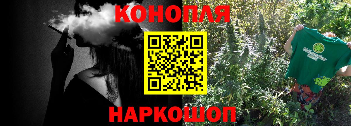 Канабис семена  Вход с VPN  Бошки Шишки сатива  Канабис OG Kush  Бошки Шишки конопля  Сочи 